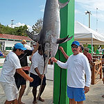 This 400 pounder was caught by Lenin Gonzalez in Cozumel, Mexico on Baitmasters Bait!