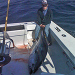 72 inch Bluefin