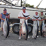 Bryon Green and crew aboard the Albemarle and their catch of 4 Bigeye Tuna weighing in at 107, 108, 137, and 143 pounds... All caught on Baitmasters Ballyhoo!