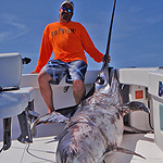 600 lbs Swordfish caught on the Booby Trap with Baitmasters Bait!