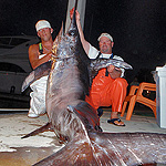 600 lbs Swordfish caught on the Booby Trap with Baitmasters Bait!