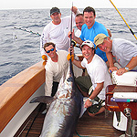 350 lbs Swordfish landed 3-26-2010 in Miami Florida aboard the Barefoot with Baitmasters Bait! The Barefoot©s Captain is Kris McKenny and First Mate Norman Welter.