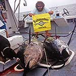 TJ from the TV show Wicked Tuna aboard the vessell Hott Tuna. These Tuna were caught using Baitmasters ballyhoo.