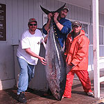 Devon Fernandez lands himself a big bluefin tuna.