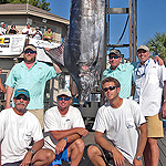 515 lbs Blue Marlin caught during the 2010 Bohicket Marina Invitational on the 'Blue Sky' by Bill Dial using Baitmasters Mackerel!