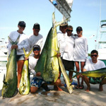 Captain Bart Sherwood and the Fighting Lady crew, Jon Pflug, Dave Jones, Jimmy Verner won the CASF Bimini Tournament with a 68lb Bull dolphin and 5 smaller fish and 1 sailfish, all caught on Baitmasters Ballyhoo!