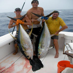 Chris Donato with a pair of Yellowfin