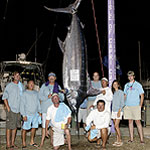 Winning 772.8 lb blue marlin caught aboard the 'CY-A' during the 2006 Mississippi Gulf Coast Billfish Classic