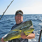 Lou Rajnys Dolphin caught using a Baitmasters Ballyhoo!