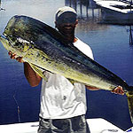 Baitmasters Owner Mark Pumo with a nice bull dolphin