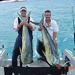 Thanks for the bait, as you can see they worked great. First and Second place Dolphin in 'The Marlin Marine' Tournament out of Nassau on May 15 and 16. The Bull on the right weighs 55.6 lbs, the one on the left is 50.2 lbs