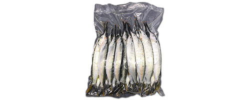This is an image of the Bulk Pack Large-Medium Ballyhoo