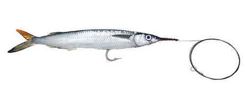 This is an image of the Medium-Single Hook Ballyhoo