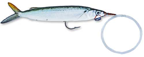 This is an image of the Super Select Rigged Ballyhoo With Lead 