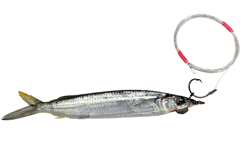 White Marlin Special Circle Hook - Baitmasters of South Florida