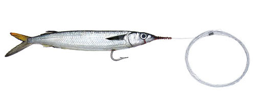 This is an image of the Flourocarbon Single Hook Small Ballyhoo