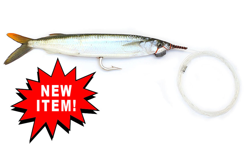 Flourocarbon Rigged Super-Select Ballyhoo With Lead - Baitmasters