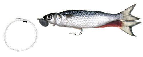 This is an image of the Trollers Mono Rigged Silver Mullet