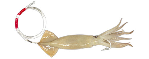 This is an image of the Tuna Delight Rigged Squid