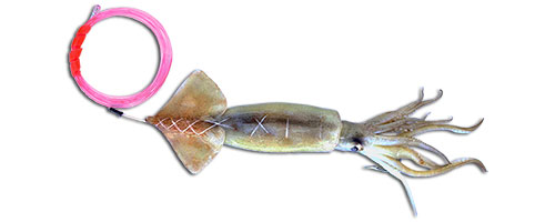 This is an image of the Pro-Series Swordfish Squid
