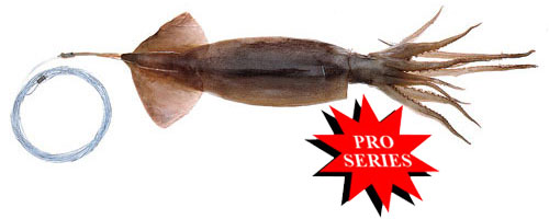 This is an image of the Pro-Series Horse Squid