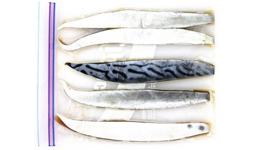 Bonita StripMedium Baitmasters of South Florida