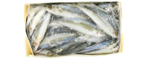 This is an image of the Cigar Minnows - 5 lb
