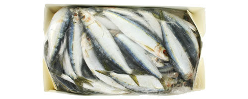 This is an image of the Spanish Sardines - 5 lb