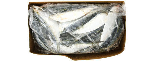 This is an image of the Thread Herring - 5 lb