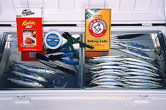 Image showing some bait thawing as described