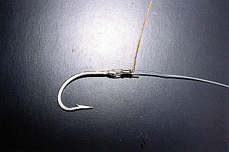 Photo of the first rig described as being built on monofilament leader